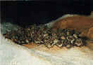 Netopr velk (Myotis myotis)- propast Schelina Wojceschowska, Polsko. foto: D.Horek