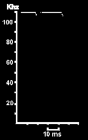 Hlasov diagram vrpenece malho