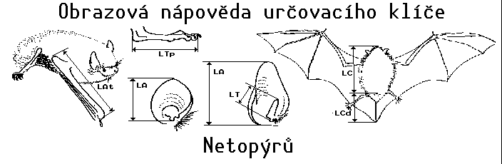 Obrazov napovda