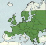 Vskyt v evrop